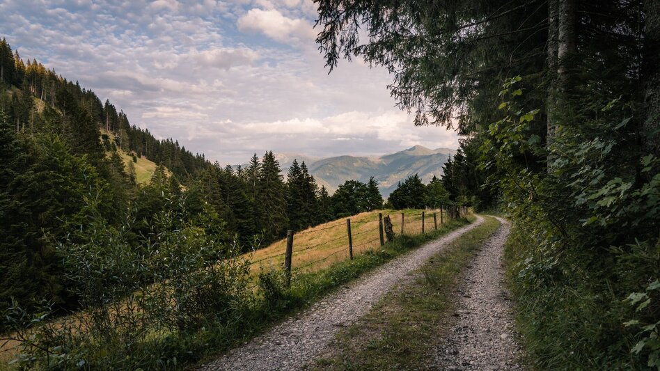 Hiking route Spechtenlake via Leistenalm - Touren-Impression #2.4 | © Erlebnisregion Schladming-Dachstein