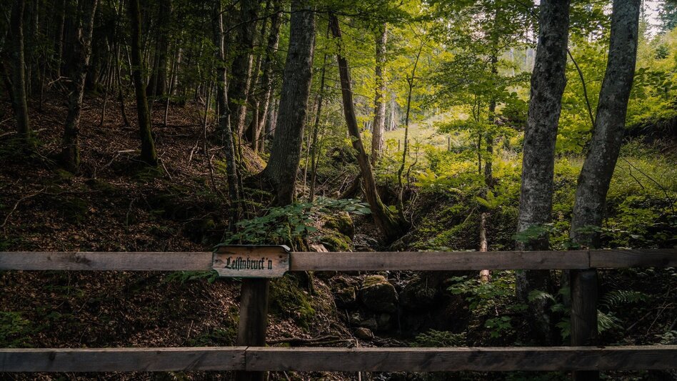 Hiking route Spechtenlake via Leistenalm - Touren-Impression #2.5 | © Erlebnisregion Schladming-Dachstein