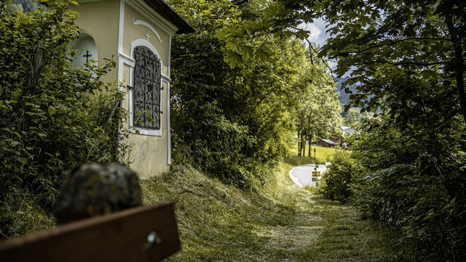 Wanderung Alter Kirchweg und Naturlehrpfad - Touren-Impression #2.5