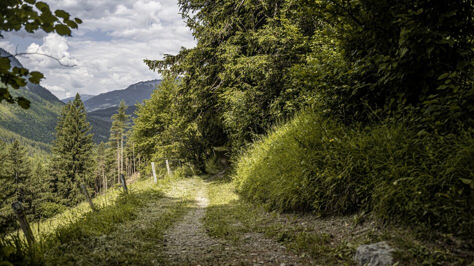 Wanderung Alter Kirchweg und Naturlehrpfad - Touren-Impression #2.6