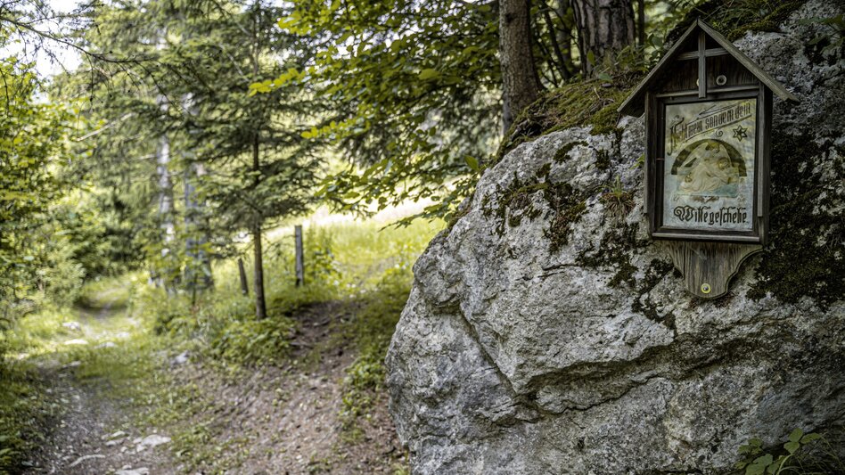 Wanderung Alter Kirchweg und Naturlehrpfad - Touren-Impression #2.7