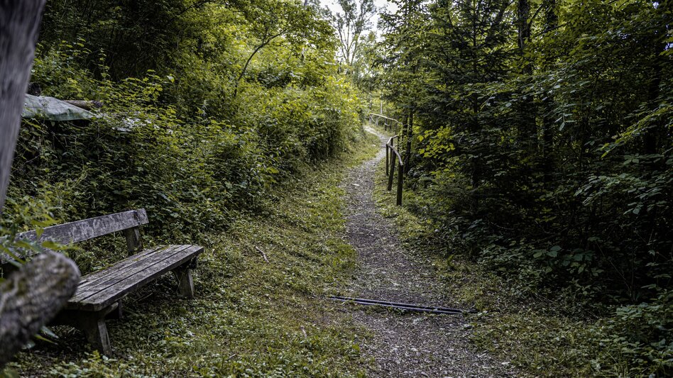 Wanderung Alter Kirchweg und Naturlehrpfad - Touren-Impression #2.3