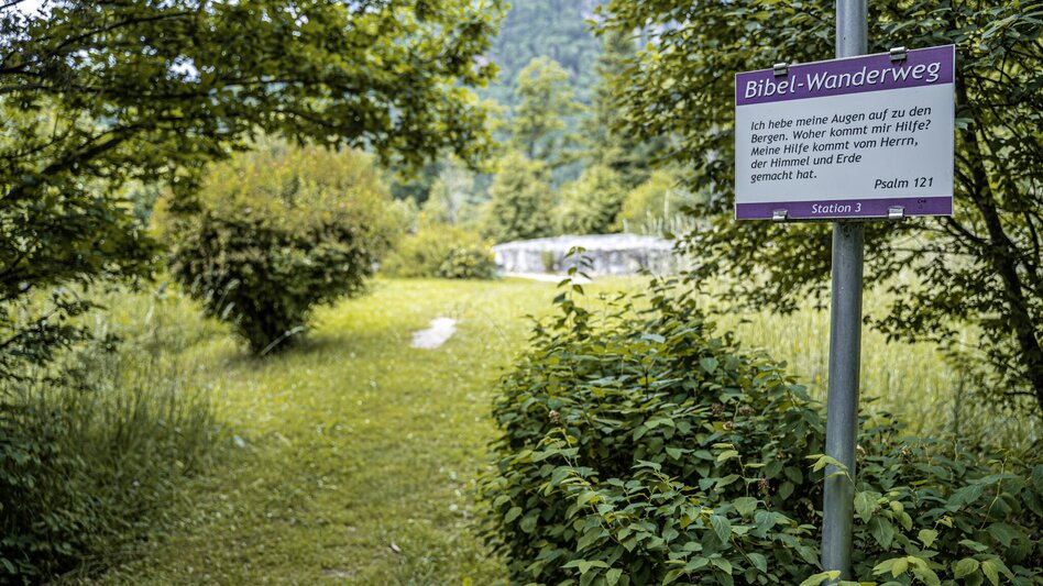 Wanderung Alter Kirchweg und Naturlehrpfad - Touren-Impression #2.12