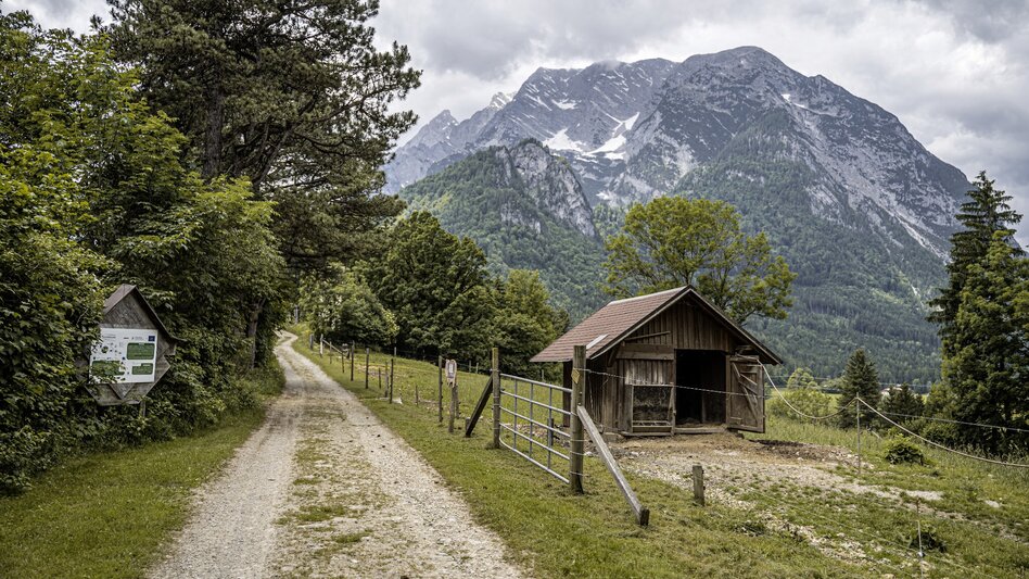 Wanderung Alter Kirchweg und Naturlehrpfad - Touren-Impression #2.15