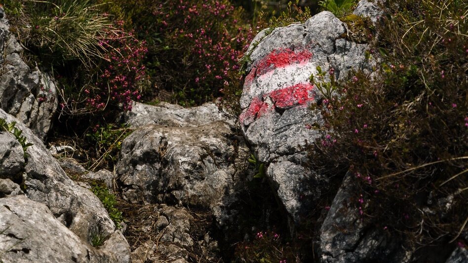 Mountain Hike Hechlstein Tour - Touren-Impression #2.2 | © Erlebnisregion Schladming-Dachstein