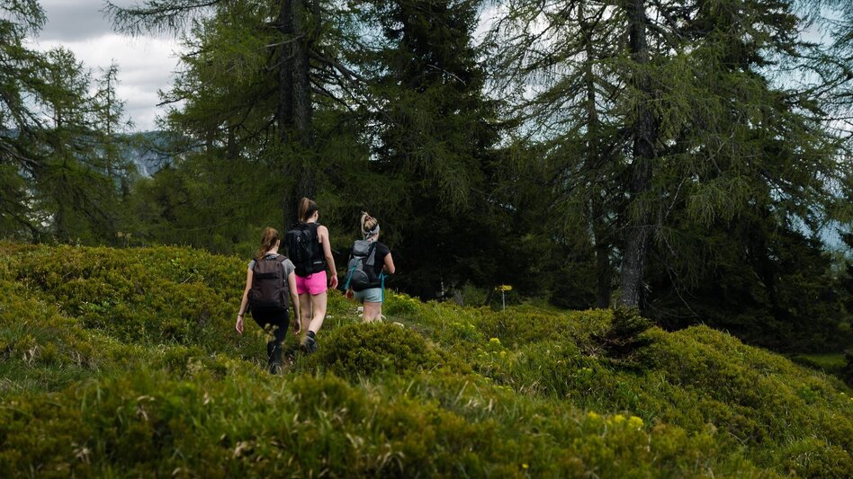 Mountain Hike Hechlstein Tour - Touren-Impression #2.4 | © Erlebnisregion Schladming-Dachstein