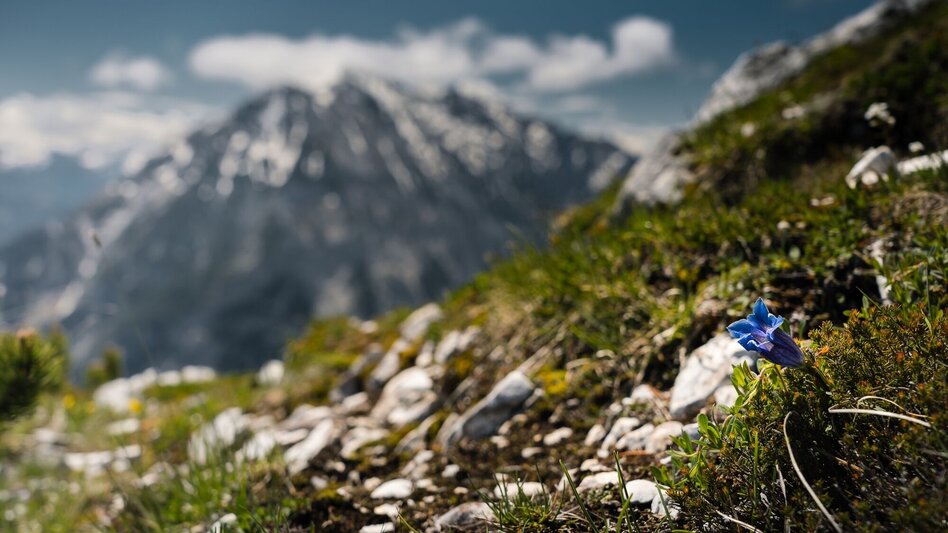 Mountain Hike Hechlstein Tour - Touren-Impression #2.7 | © Erlebnisregion Schladming-Dachstein