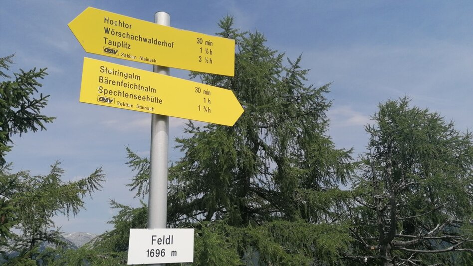 Wanderung Stoiringalmwanderung - Touren-Impression #2.5 | © Erlebnisregion Schladming-Dachstein