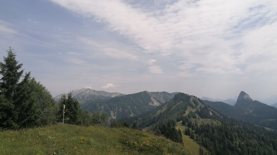 Wanderung Stoiringalmwanderung - Touren-Impression #2.9 | © Erlebnisregion Schladming-Dachstein