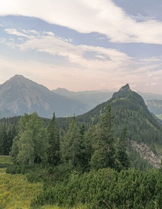 Vom Feldl Richtung Hochtor mit Blick auf den Hechlstein und Grimming | Barbara Luidold | © Erlebnisregion Schladming-Dachstein