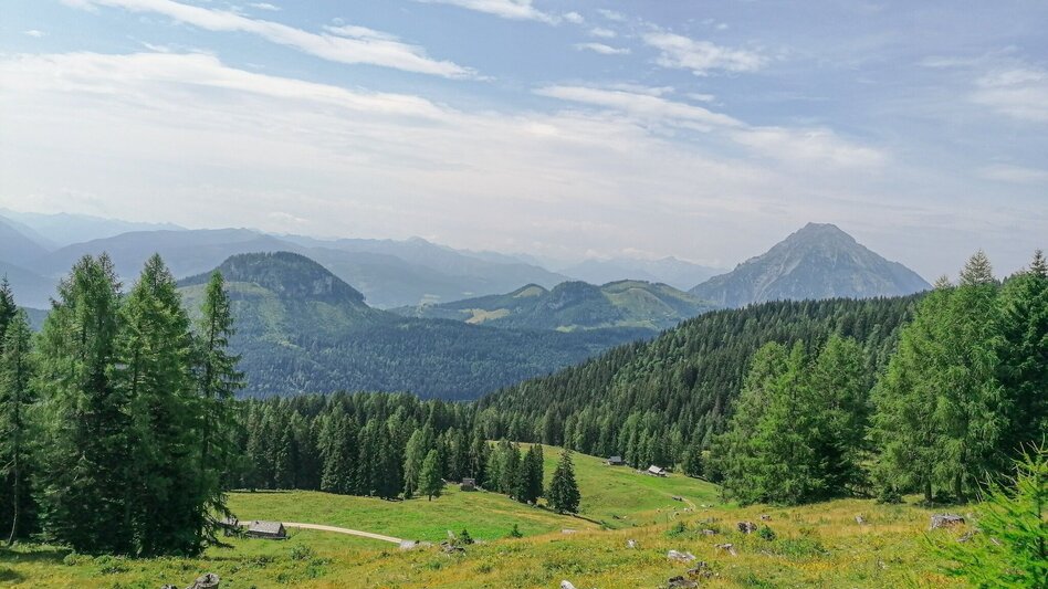Wanderung Stoiringalmwanderung - Touren-Impression #2.3 | © Erlebnisregion Schladming-Dachstein