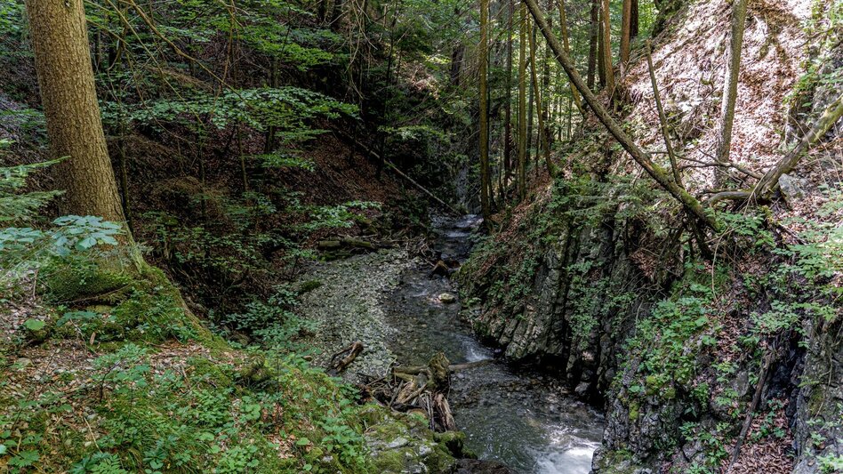 Wanderung Lesserner Wasserfall - Touren-Impression #2.7 | © Erlebnisregion Schladming-Dachstein