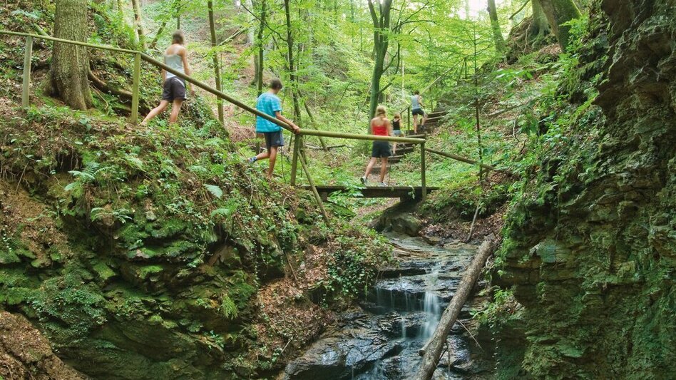 Hiking route Heilbründl circuit, Grafendorf - Touren-Impression #2.5 | © Oststeiermark Tourismus