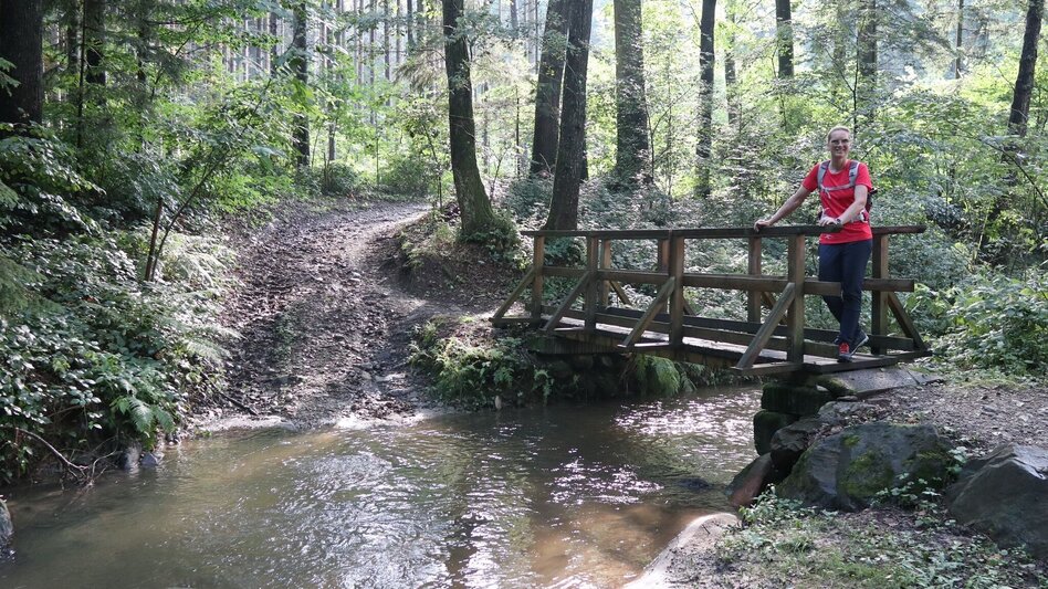 Hiking route Heilbründl circuit, Grafendorf - Touren-Impression #2.6 | © Oststeiermark Tourismus