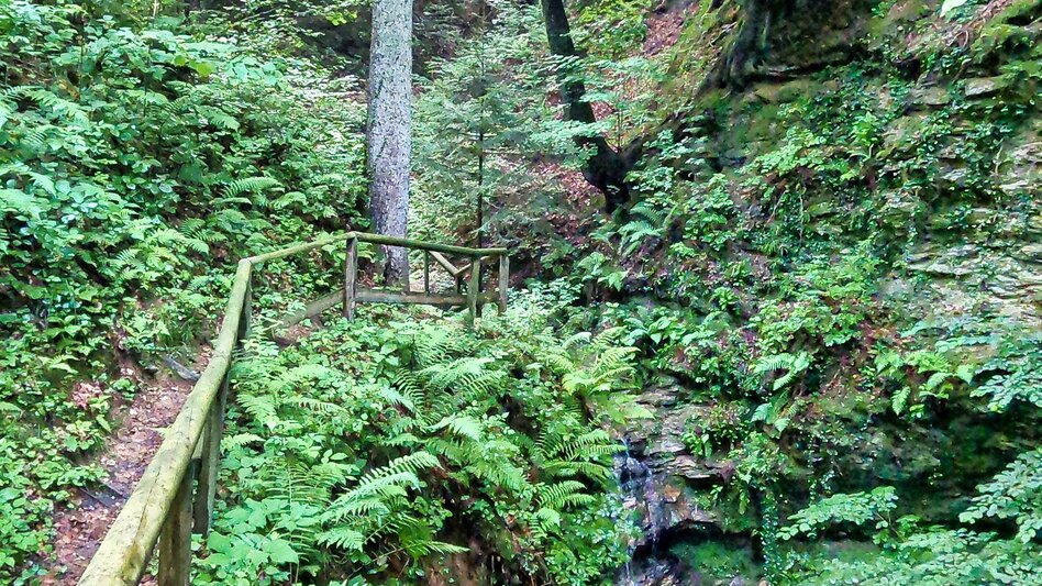 Hiking route Heilbründl circuit, Grafendorf - Touren-Impression #2.13 | © Unbekannt