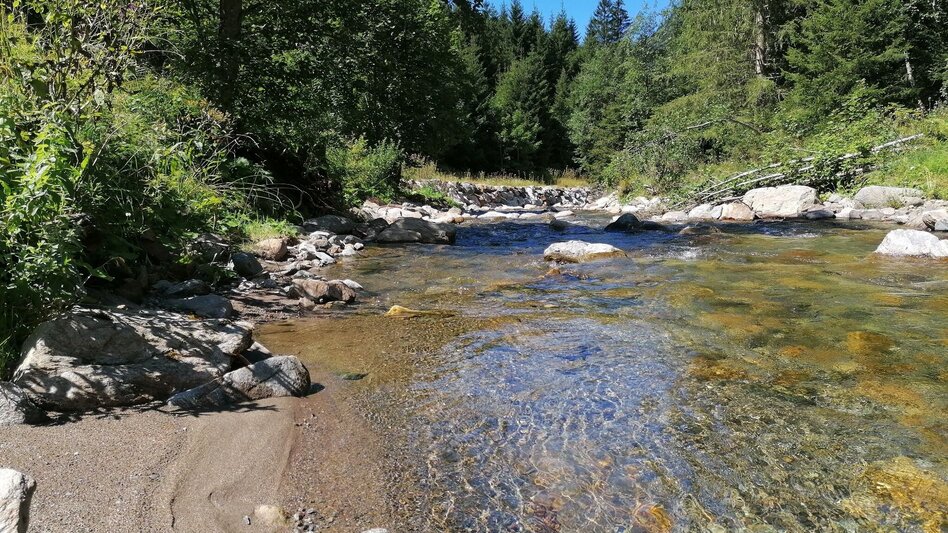 Hiking route Riedleralm - Touren-Impression #2.1 | © Erlebnisregion Schladming-Dachstein