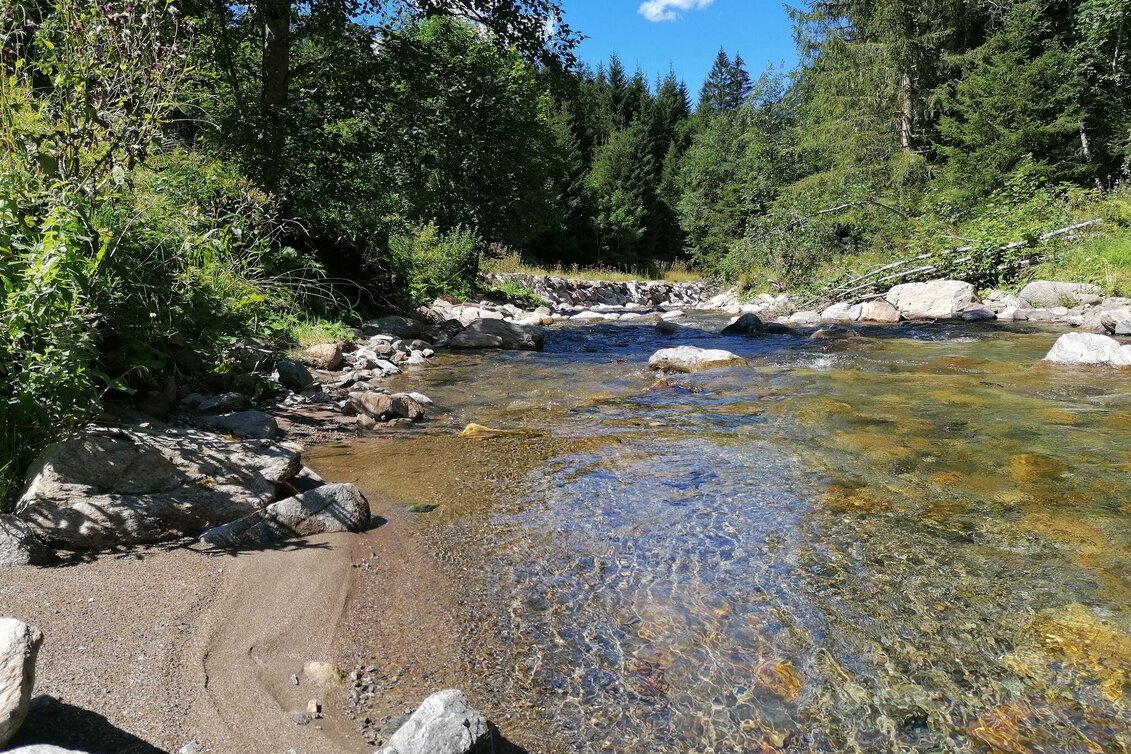 Hiking route Riedleralm - Touren-Impression #1 | © Erlebnisregion Schladming-Dachstein