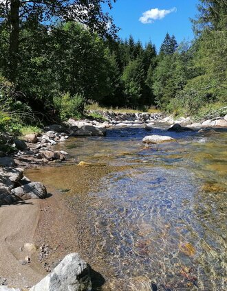 Eine kurze Abkühlung | Barbara Luidold | © Erlebnisregion Schladming-Dachstein