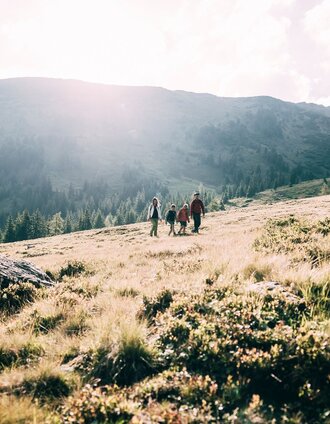 Auf der Michelirlingalm | Armin Walcher | © Erlebnisregion Schladming-Dachstein