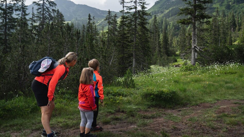 Hiking route Kothüttenseeweg - Touren-Impression #2.1 | © Erlebnisregion Schladming-Dachstein