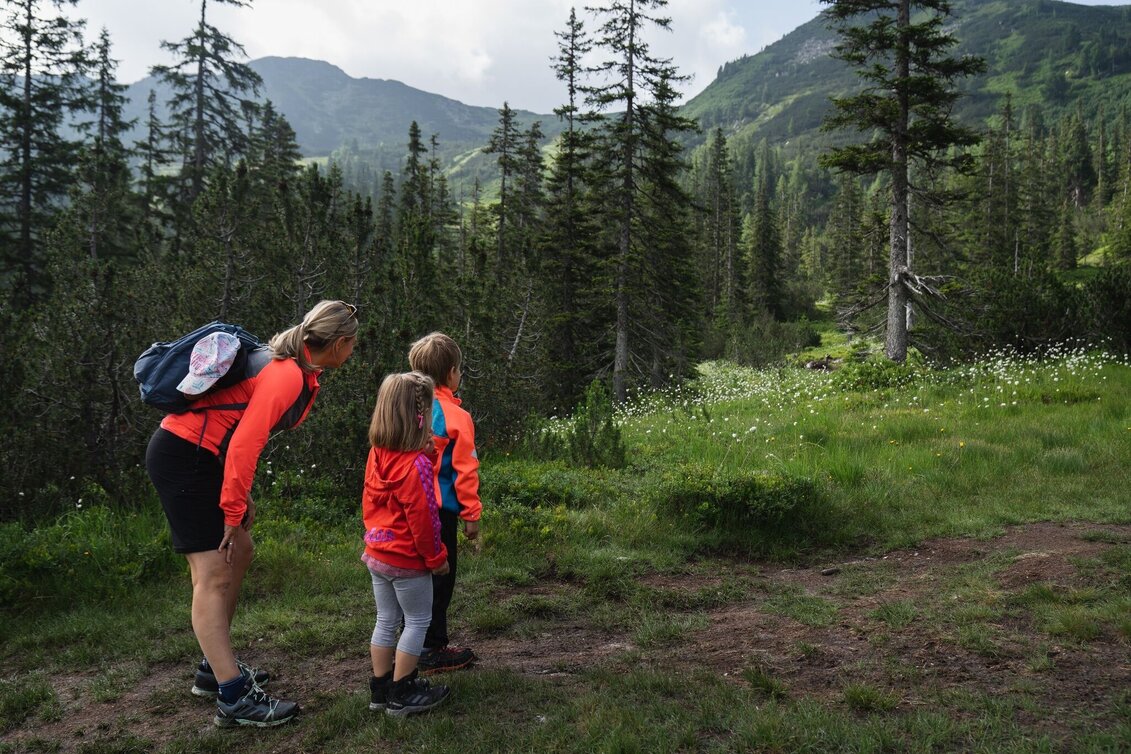 Hiking route Kothüttenseeweg - Touren-Impression #1 | © Erlebnisregion Schladming-Dachstein