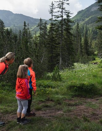 Am Beginn tauchen immer wieder die Tiere des Bogenparcours auf. | Christoph Lukas | © Erlebnisregion Schladming-Dachstein