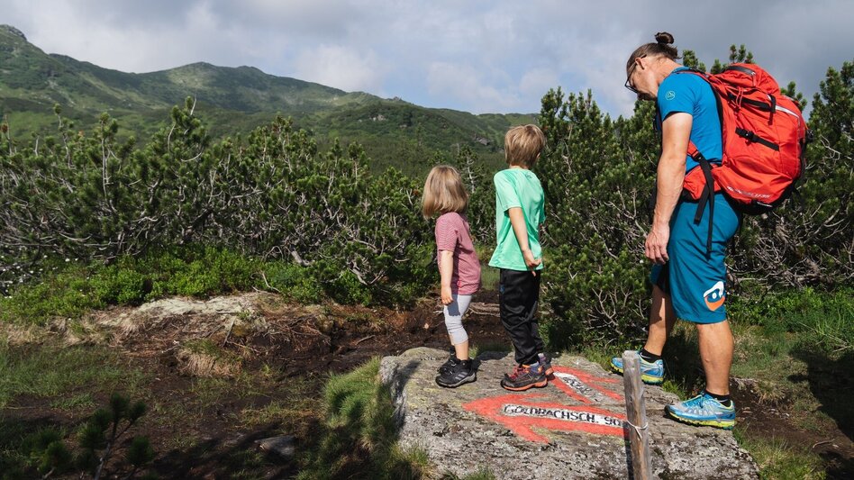 Hiking route Kothüttenseeweg - Touren-Impression #2.3 | © Erlebnisregion Schladming-Dachstein