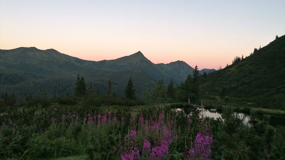 Hiking route Plannerlakeway - Touren-Impression #2.2 | © Erlebnisregion Schladming-Dachstein