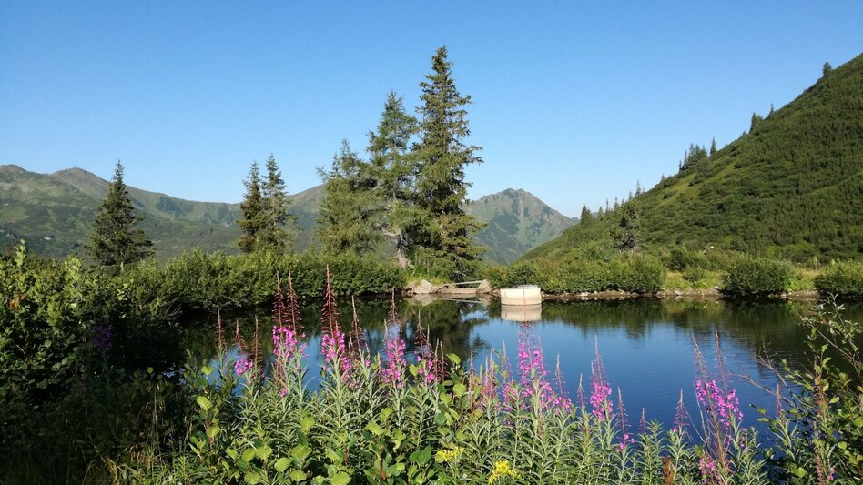 Hiking route Plannerlakeway - Touren-Impression #2.3 | © Erlebnisregion Schladming-Dachstein