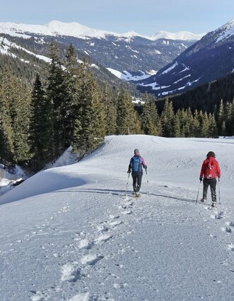 Zurück geht es wieder über die Alm | Weges OG | © Weges OG