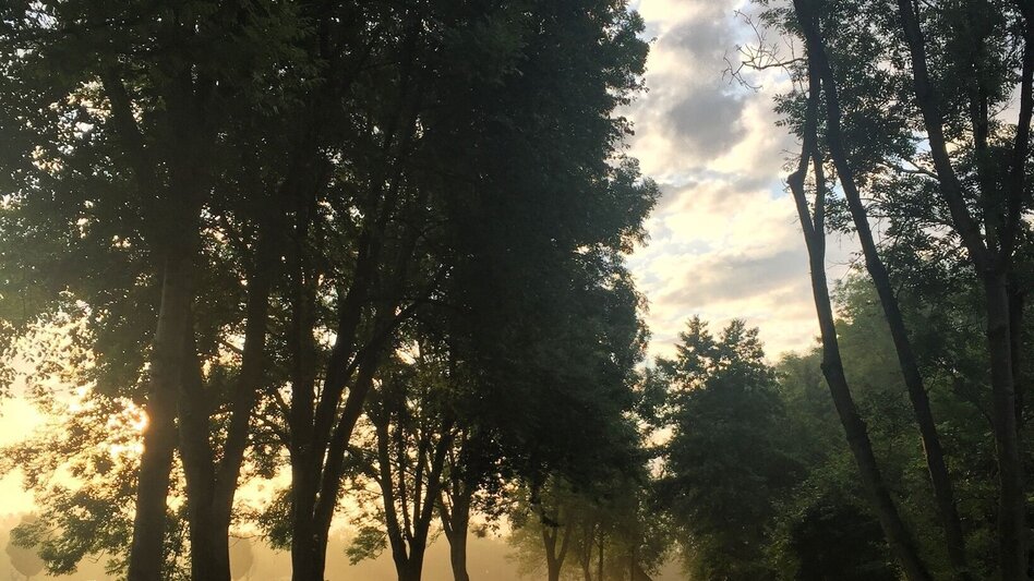 Wanderung Kurzerholungs- und Familienwanderweg - Touren-Impression #2.5 | © Südsteiermark