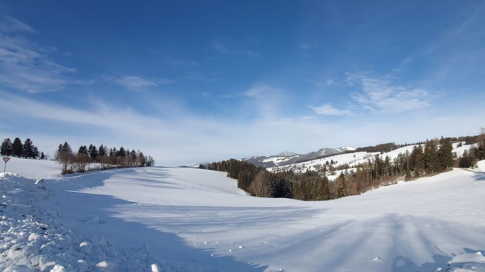 Winter Hiking Winter Hike in St. Kathrein/Offenegg - Touren-Impression #2.1 | © Oststeiermark Tourismus
