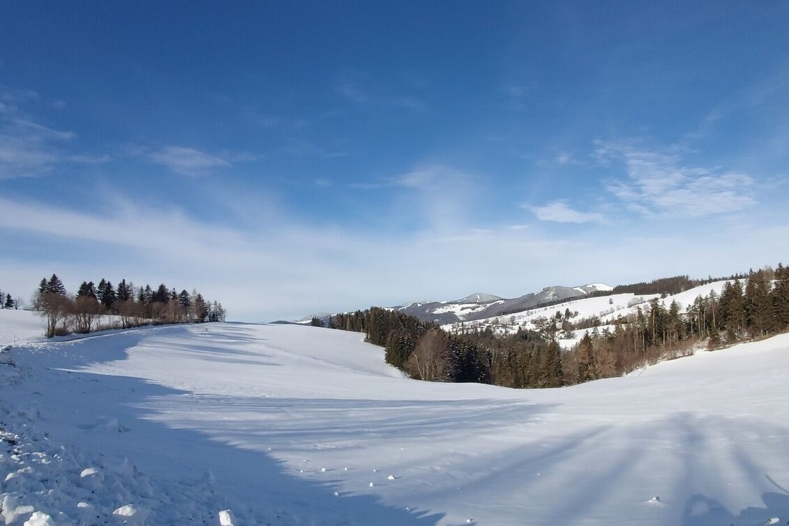 Winter Hiking Winter Hike in St. Kathrein/Offenegg - Touren-Impression #1 | © Oststeiermark Tourismus