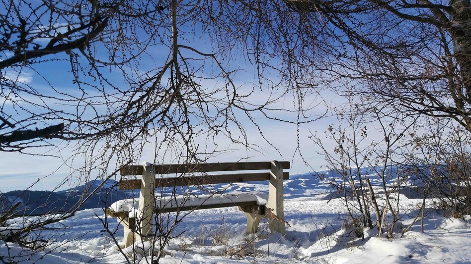 Winter Hiking Winter Hike in St. Kathrein/Offenegg - Touren-Impression #2.2 | © Oststeiermark Tourismus