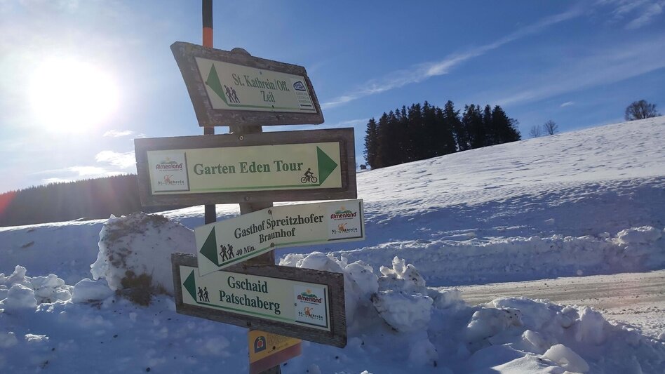 Winter Hiking Winter Hike in St. Kathrein/Offenegg - Touren-Impression #2.5 | © Oststeiermark Tourismus