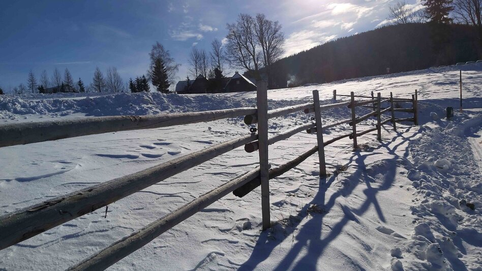 Winter Hiking Winter Hike in St. Kathrein/Offenegg - Touren-Impression #2.7 | © Oststeiermark Tourismus