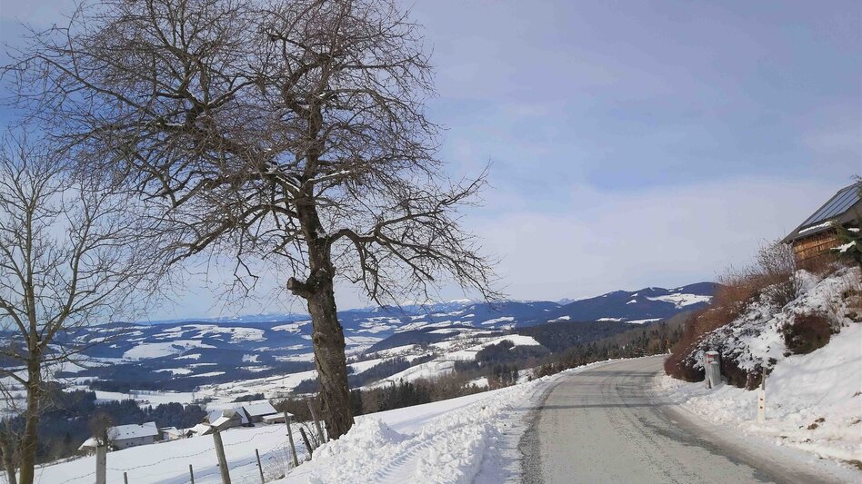 Winter Hiking Winter Hike in St. Kathrein/Offenegg - Touren-Impression #2.8 | © Oststeiermark Tourismus