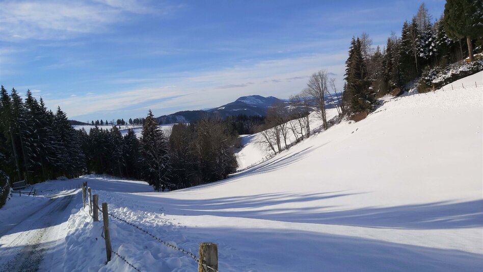 Winter Hiking Winter Hike in St. Kathrein/Offenegg - Touren-Impression #2.9 | © Oststeiermark Tourismus