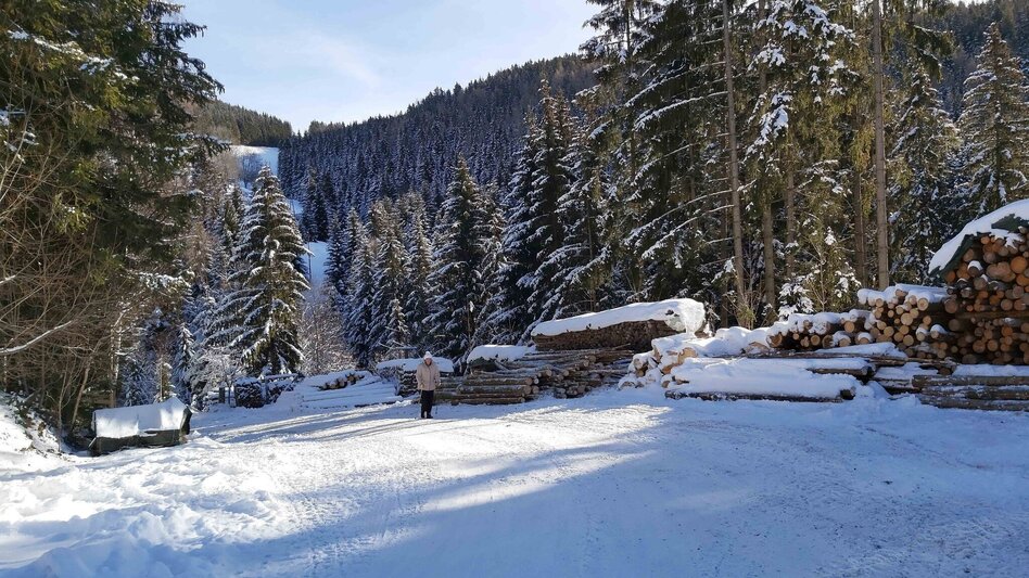 Winter Hiking Winter Hike in St. Kathrein/Offenegg - Touren-Impression #2.10 | © Oststeiermark Tourismus