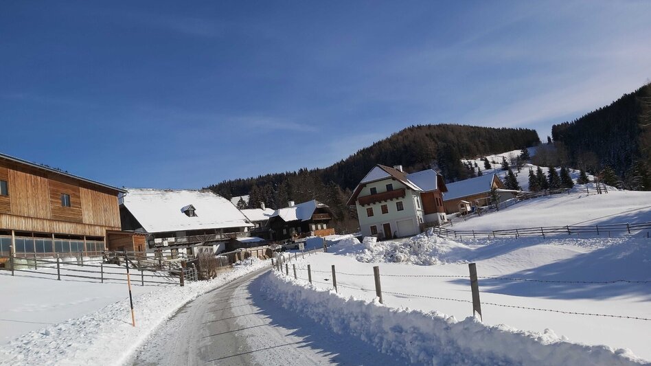 Winter Hiking Winter Hike in St. Kathrein/Offenegg - Touren-Impression #2.12 | © Oststeiermark Tourismus