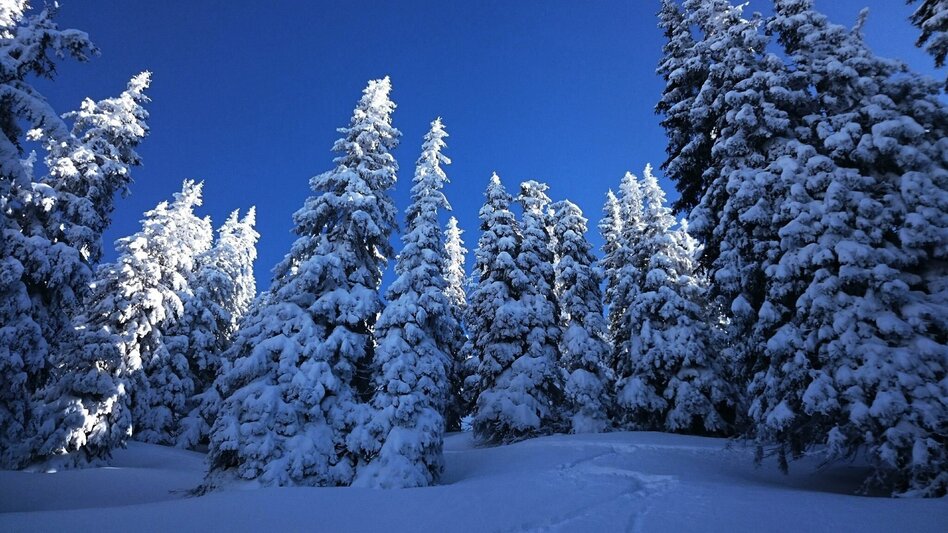 Skitour Skitour Kochofen - Touren-Impression #2.4 | © Erlebnisregion Schladming-Dachstein