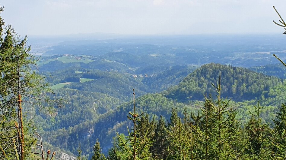 Wanderung Sattelberge-Tour vom Gösser zum Wolfsattel - Touren-Impression #2.7 | © (c) Günther Steininger