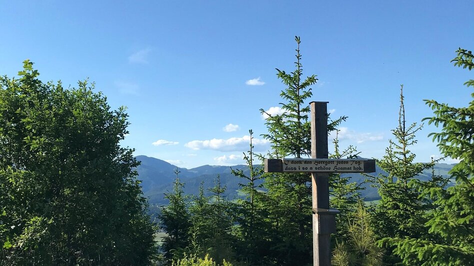 Wanderung Sattelberge-Tour vom Gösser zum Wolfsattel - Touren-Impression #2.9 | © Oststeiermark Tourismus