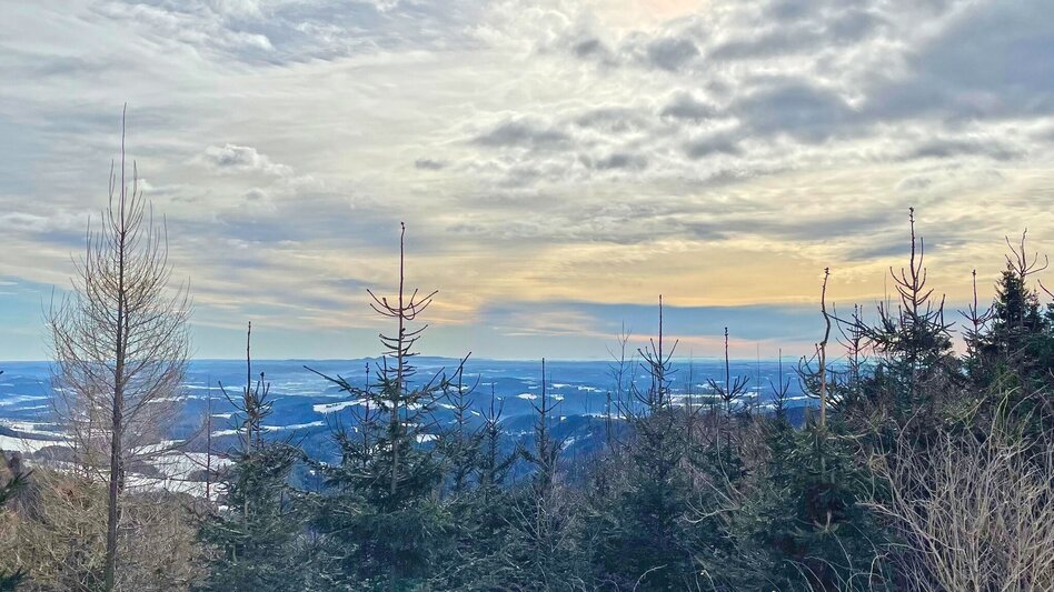 Wanderung Sattelberge-Tour vom Gösser zum Wolfsattel - Touren-Impression #2.11 | © Oststeiermark Tourismus