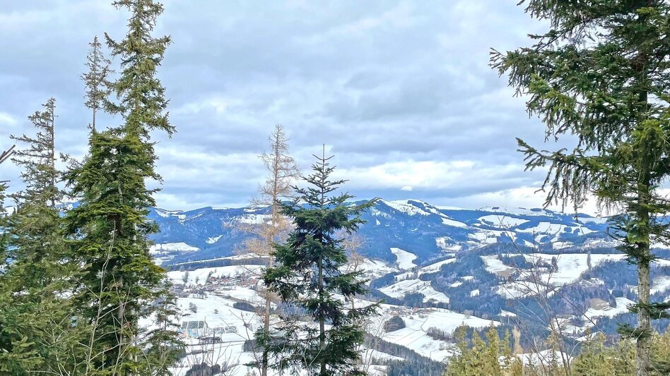 Wanderung Sattelberge-Tour vom Gösser zum Wolfsattel - Touren-Impression #2.12 | © Oststeiermark Tourismus