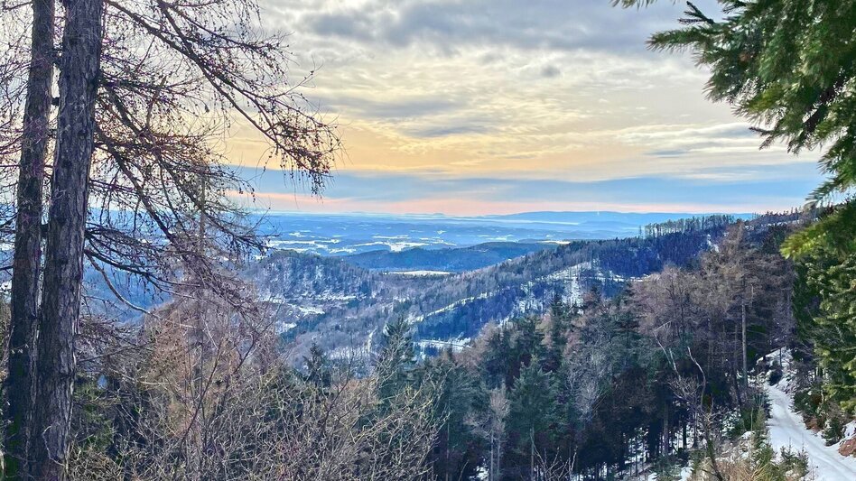 Wanderung Sattelberge-Tour vom Gösser zum Wolfsattel - Touren-Impression #2.14 | © Oststeiermark Tourismus