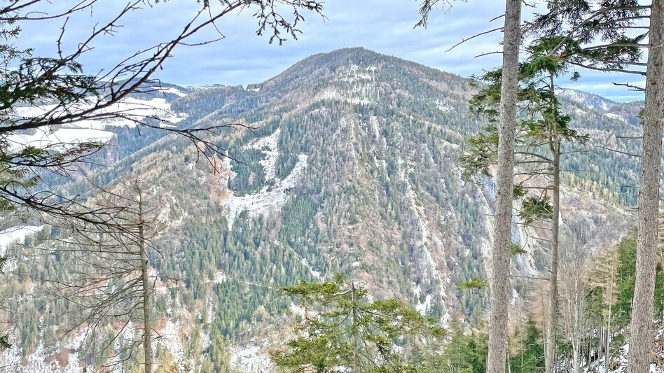 Wanderung Sattelberge-Tour vom Gösser zum Wolfsattel - Touren-Impression #2.15 | © Oststeiermark Tourismus