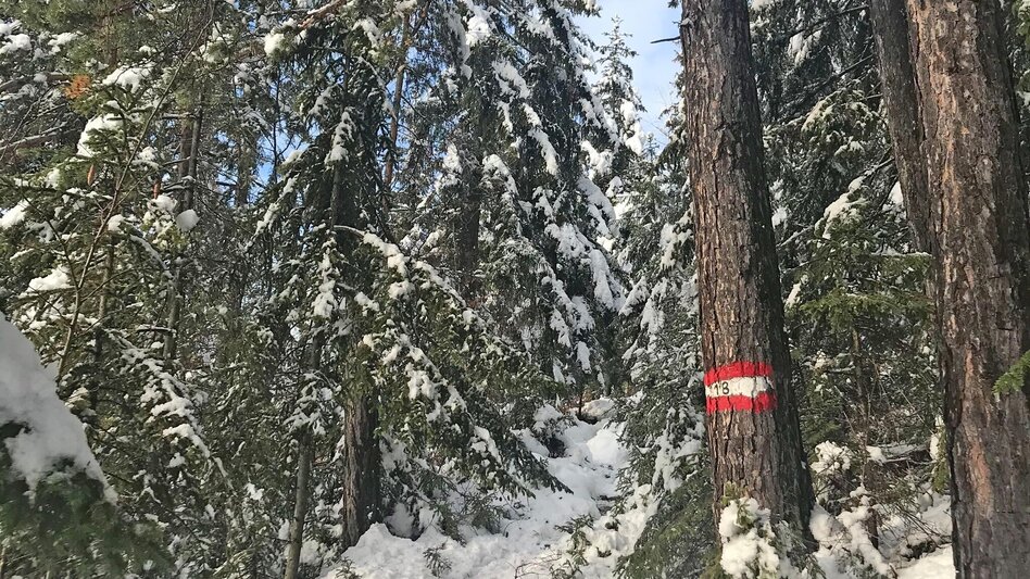 Wanderung Sattelberge-Tour vom Gösser zum Wolfsattel - Touren-Impression #2.1 | © Oststeiermark Tourismus