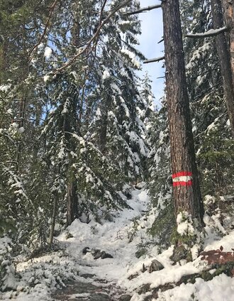 Winterwandern Gösser & Lärchsattel | Tourismusverband Oststeiermark | © Oststeiermark Tourismus