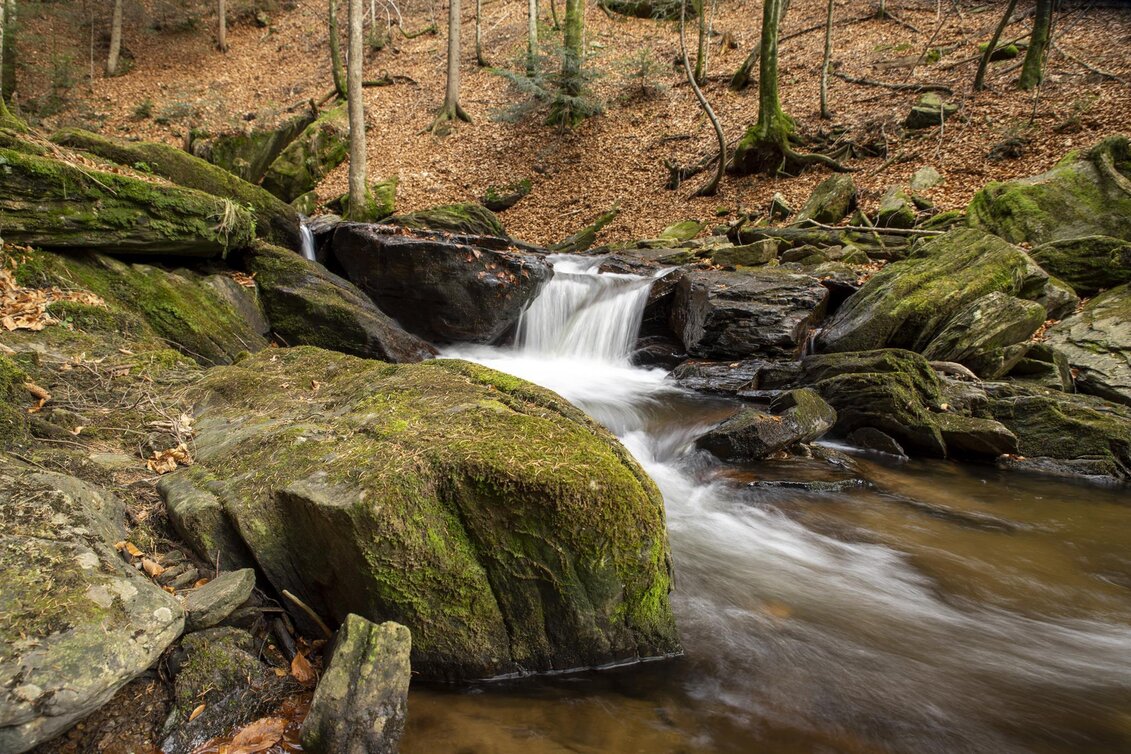 Hiking route Sulmweg - Tour 39 lt. WK "Von der Alm zum Wein" - Touren-Impression #1 | © TVB Südstmk.